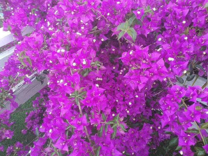 Gîte pour 4 personnes, avec jardin et vue à Burriana - 3