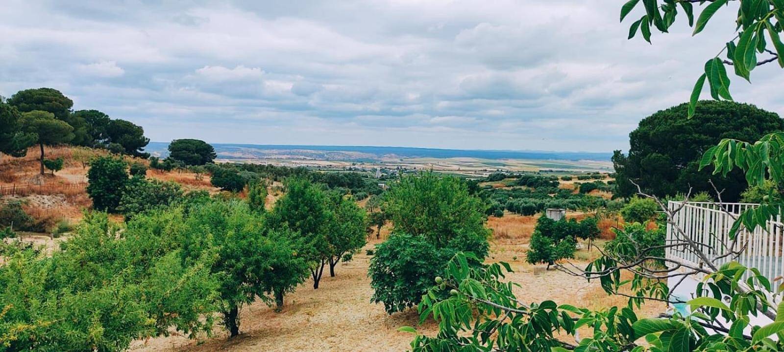 Casa Rural „El Encanto“ mit Bergblick, Wlan und Klimaanlage in Villarrasa, Huelva Provinz