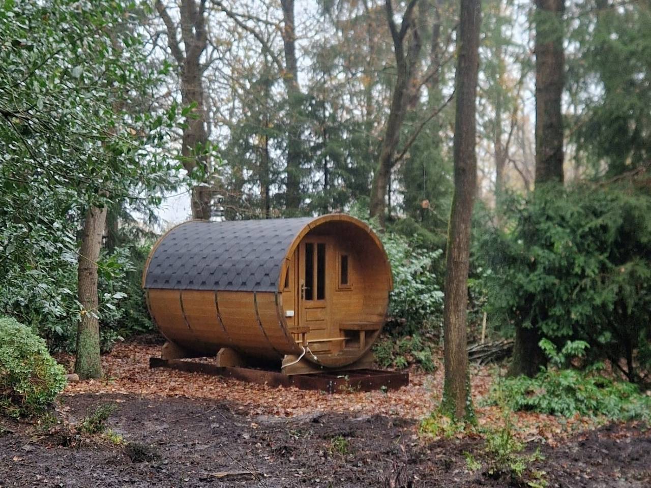Luxuriöser Waldbungalow für 5 Personen mit holzbefeuerter Sauna in der Drentsfriese Wold in Wateren, Regio Zwolle