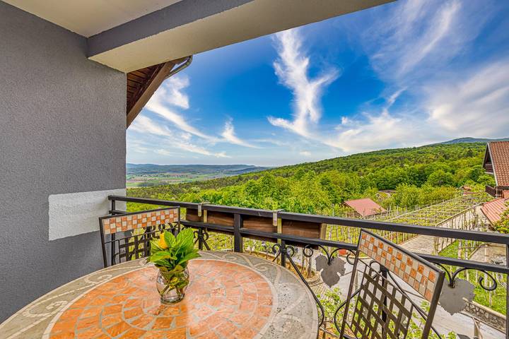 Ferienhaus für 12 Personen, mit Terrasse, mit Haustier in Slowenien - 3