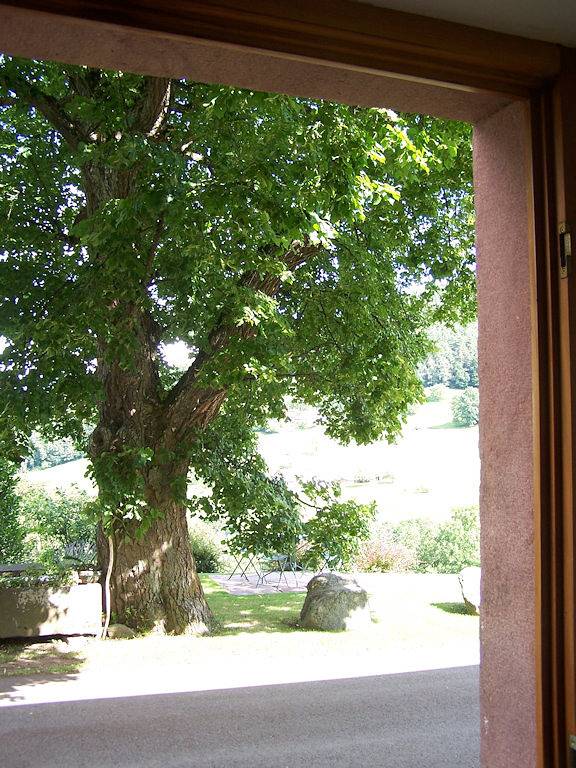 Gîte pour 4 personnes, avec terrasse et jardin à Lapoutroie - 4