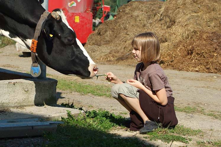 Bauernhofpension Büchsenschütz - Holiday apartment Kellerwald in Vöhl, Waldecker Land