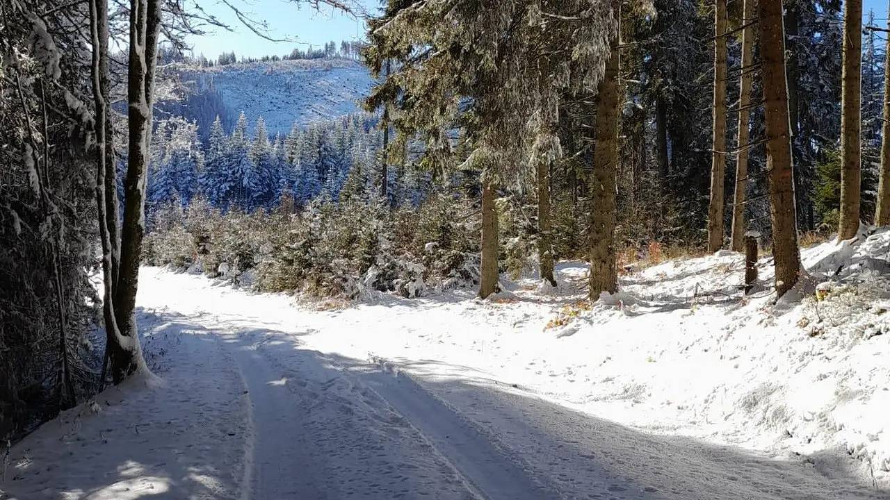 Ferienhaus für 8 Personen in Fischbach in Fischbach, Steirerland