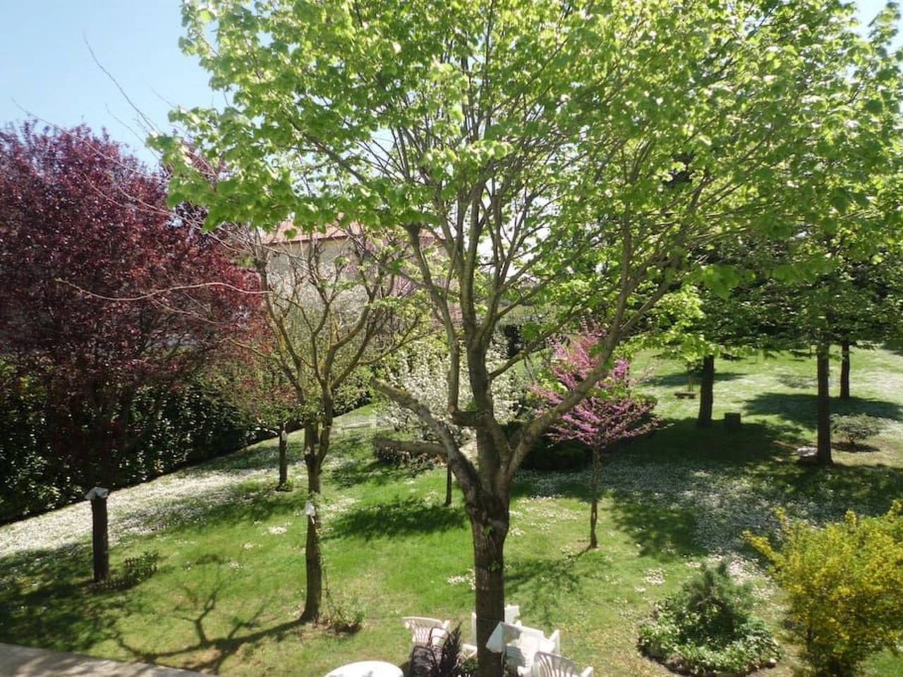 Apartamento entero, Wohnung mit Privatparkplatz in Rímini, Provincia de Rimini