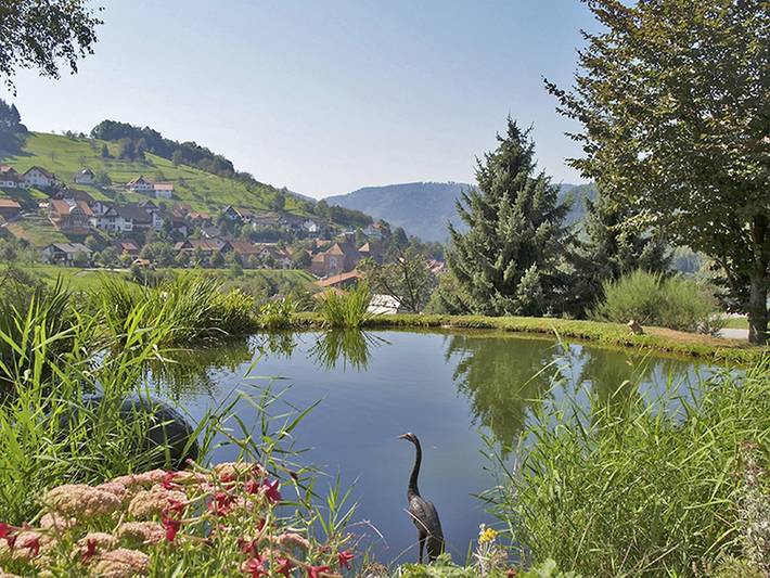 Ferienwohnung, mit Terrasse und Garten in Nationalpark Schwarzwald - 4
