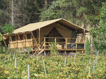 Gîte pour 5 personnes, avec sauna et piscine ainsi que jardin et jacuzzi à Laure-Minervois