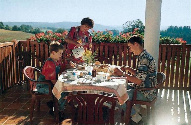 Ferienhaus für 5 Personen, mit Balkon/Terrasse und Terrasse, mit Haustier im Frankenwald - 4