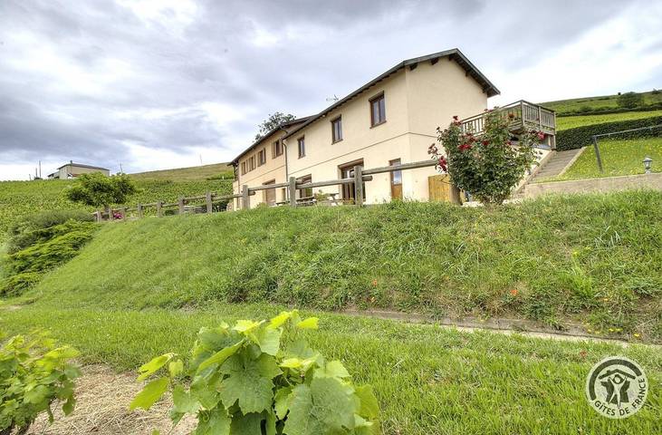 Location de vacances pour 12 personnes à Fleurie
