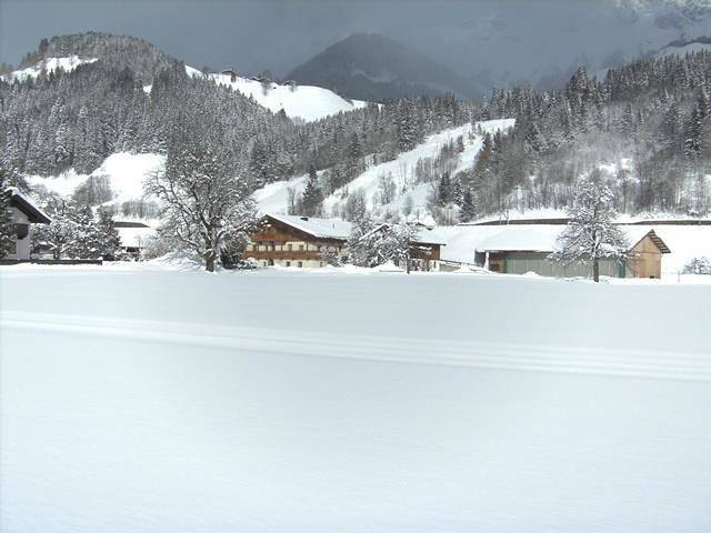 Apartment "Biberg" in Leogang, Saalbach-Hinterglemm