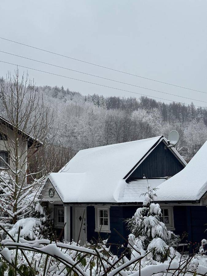 Domek letniskowy dla 4 osób, z ogród, zwierzęta dozwolone w Wisła