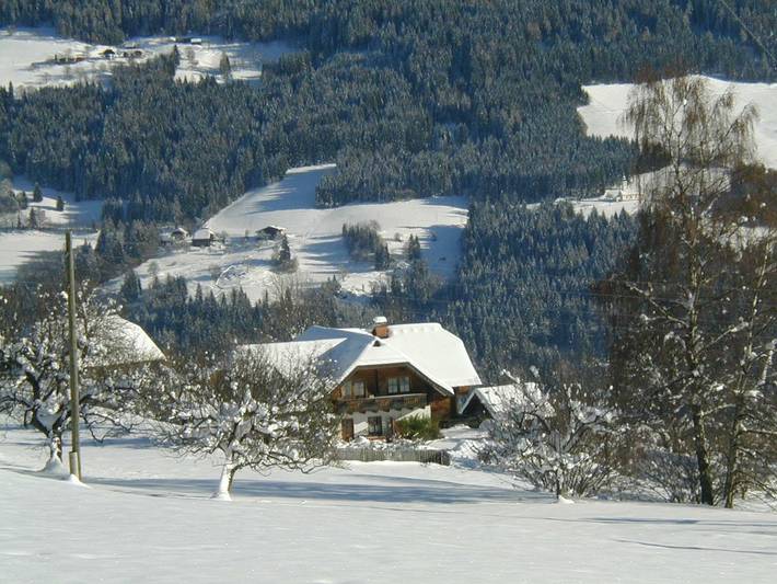 Ferienwohnung für 3 Personen, mit Garten und Terrasse sowie Ausblick, kinderfreundlich in Kärnten - 4