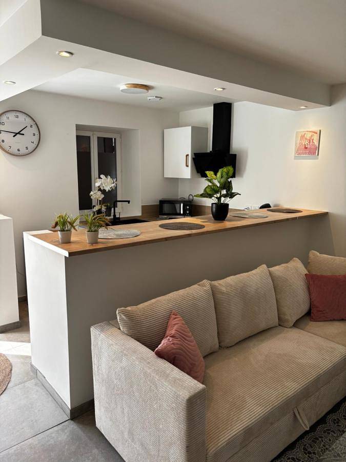 Gîte pour 4 personnes, avec terrasse à Givors - 2