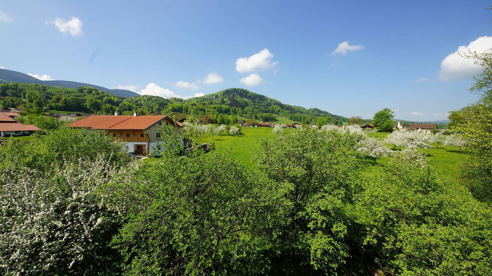 Gästehaus Funk - Einzelzimmer Nr. 9 u. 10, Du/Wc, 12qm, 1. Og in Bad Feilnbach, Alpenland Tegernsee Schliersee