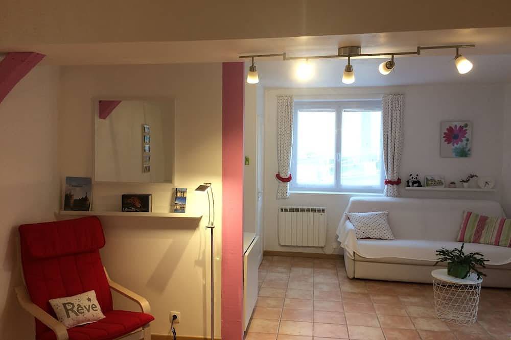 Studio entièrement aménagé au coeur des châteaux de la Loire in Amboise, Région de Tours