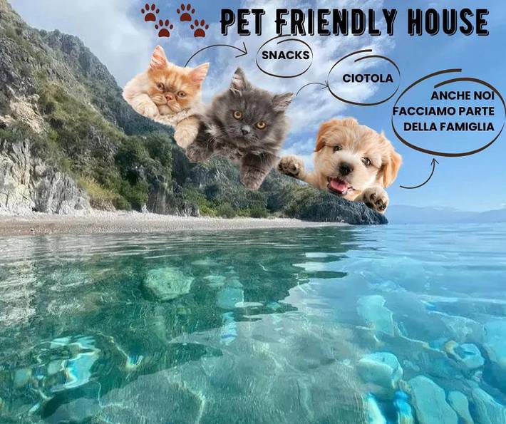 Appartamento vacanze per 4 persone, con terrazza e panorama, con animali domestici - 1