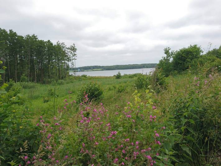 Ferienhaus für 4 Personen, mit Pool und Terrasse sowie Garten und Kinderpool in Løjt - 4