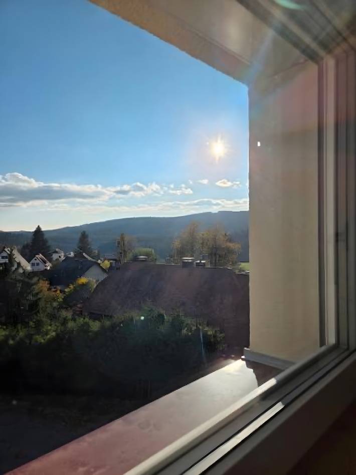 Ferienwohnung für 6 Personen, mit Garten in Grafenhausen - 4