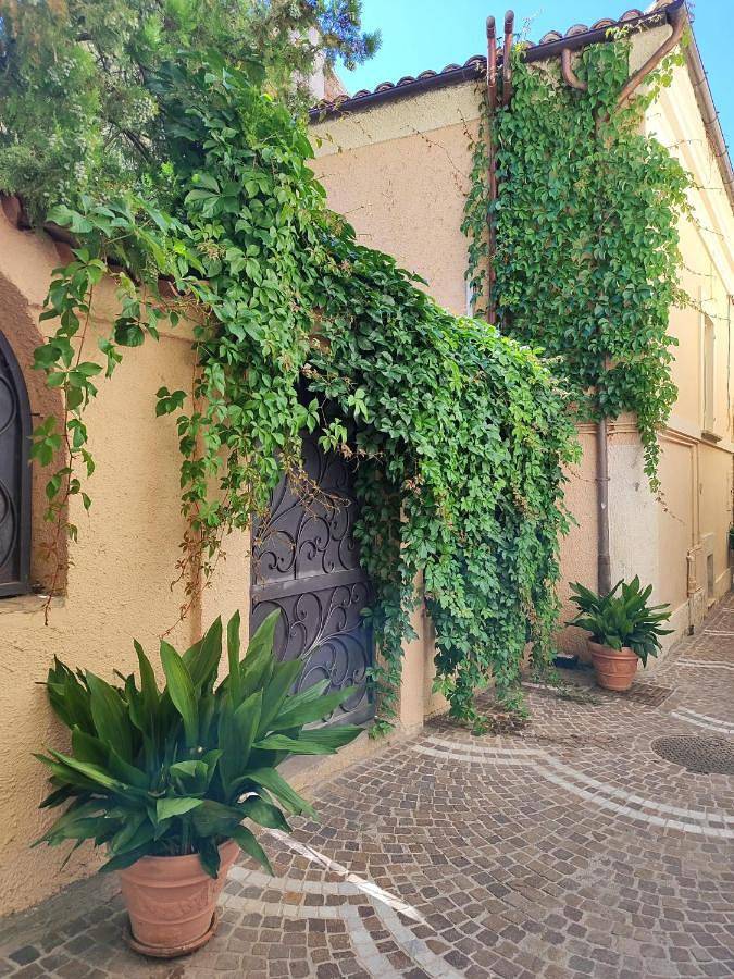 Chambre d’hôte pour 3 personnes, avec jardin ainsi que vue et piscine, animaux acceptés dans Abruzzes - 3