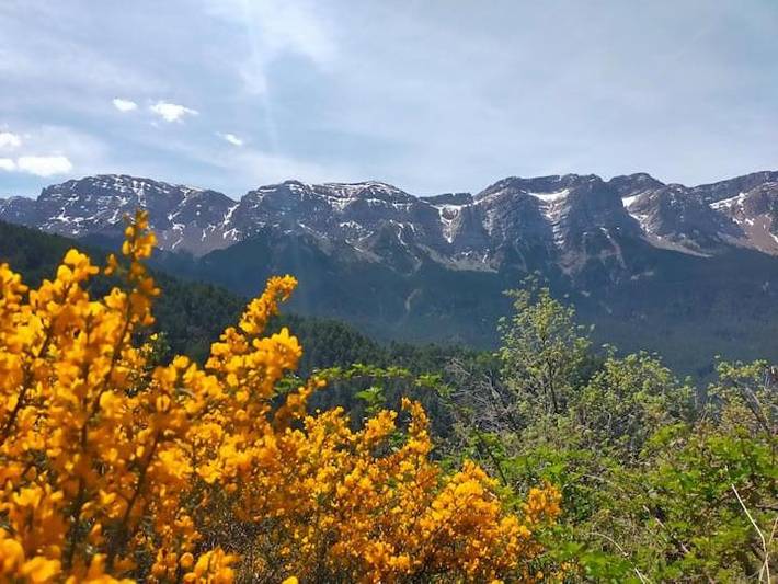 Casa rural para 10 personas, con vistas y jardín, Se admiten mascotas en Alto Urgel - 4