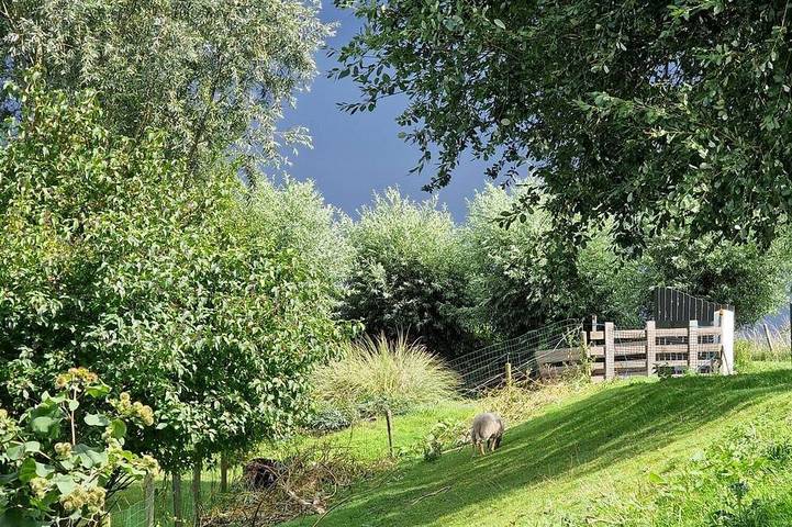 Ferienwohnung für 4 Personen, mit Garten, mit Haustier