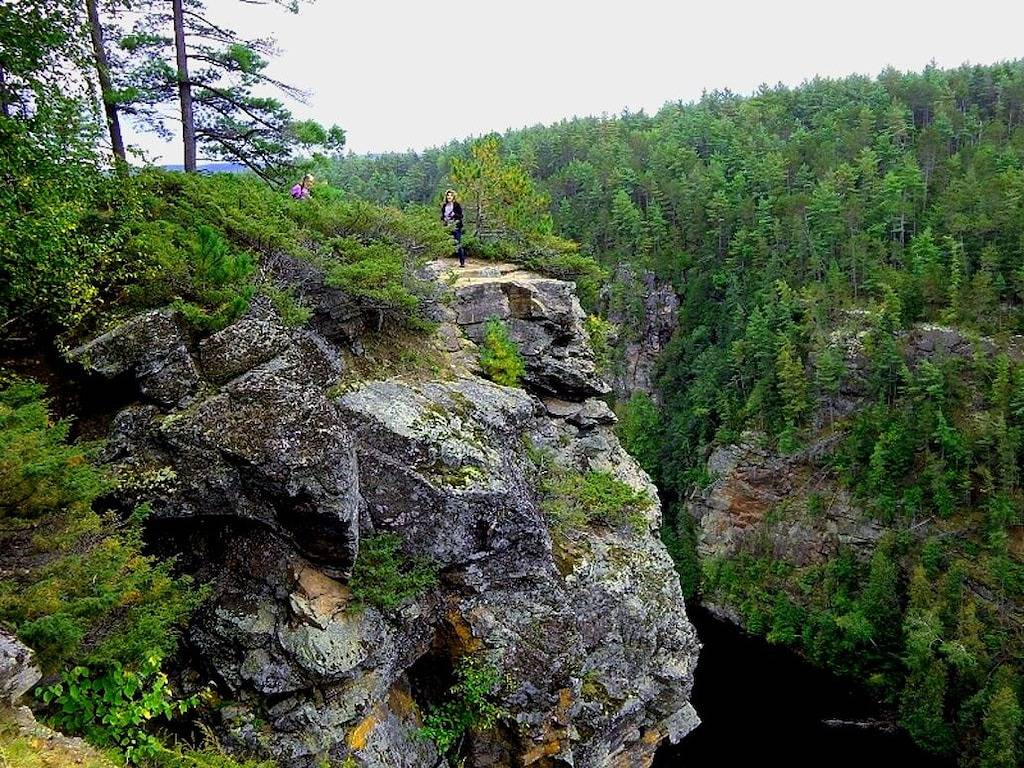 Blue Heron Cove mit Algonquin Pass & Schneeschuhen. Bring dein Haustier frei! in Muskoka
