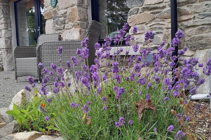 Cozy, comfortable cottage on an alpaca farm in Comté de Wicklow