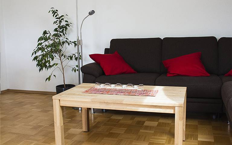 Ganze Ferienwohnung, Ferienwohnung Langer - Ferienwohnung, 91qm, 2 Schlafzimmer, Balkon, max. 4 Personen in Breisach (Kernstadt), Breisach am Rhein