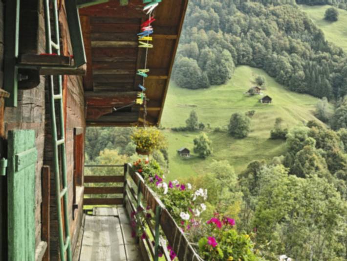 Ganze Wohnung, Berghof-Gufel in Engi, Glarus Süd