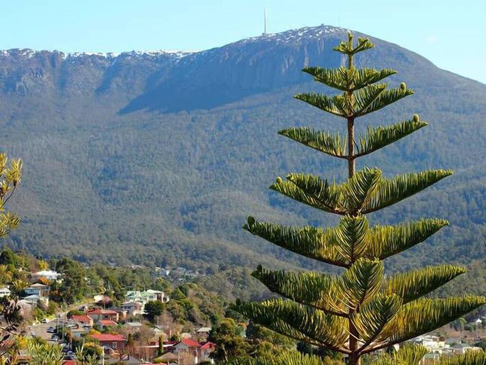 Gîte pour 2 personnes, avec jardin à Hobart - 4
