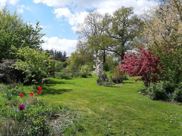 Charmantes Haus bei Nueil-les-Aubiers mit Garten in Nueil-les-Aubiers, Deux-Sèvres
