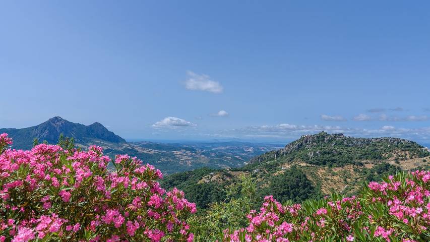 Villa Aurora de Gaucín Gaucín by Ruralidays in Gaucín, Serranía de Ronda