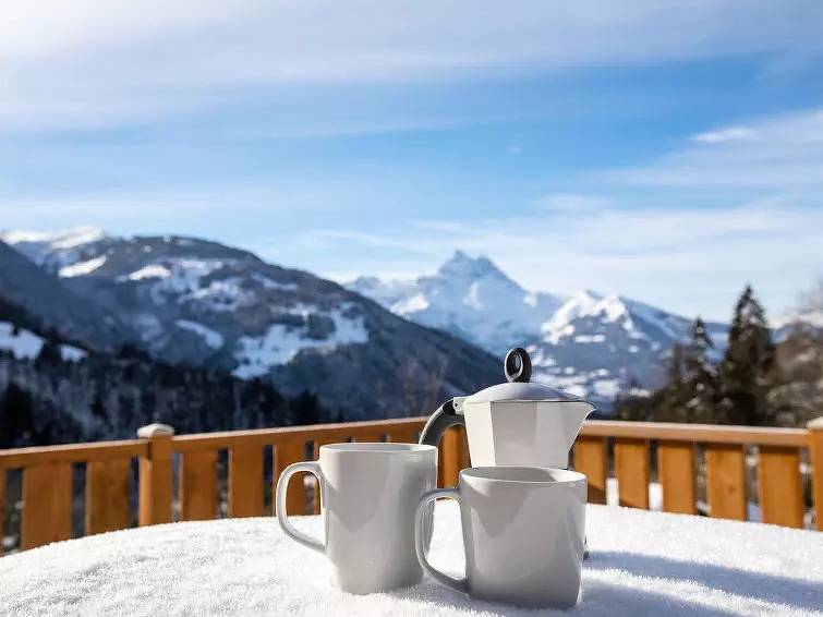 Chalet 8 Personnes in Gryon, Alpes Vaudoises