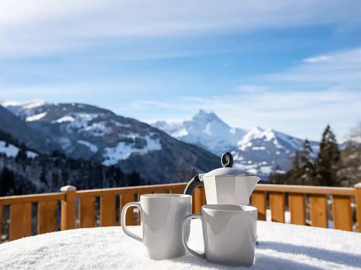 Chalet 8 Personnes in Gryon, Alpes Vaudoises