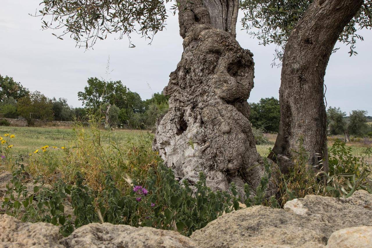 Ych-Le Grotte di Sileno in Castellaneta, Provincia di Taranto