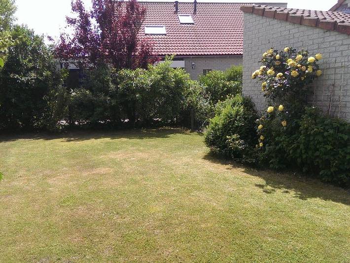 Ferienhaus für 6 Personen, mit Sauna und Garten sowie Terrasse in Julianadorp - 4