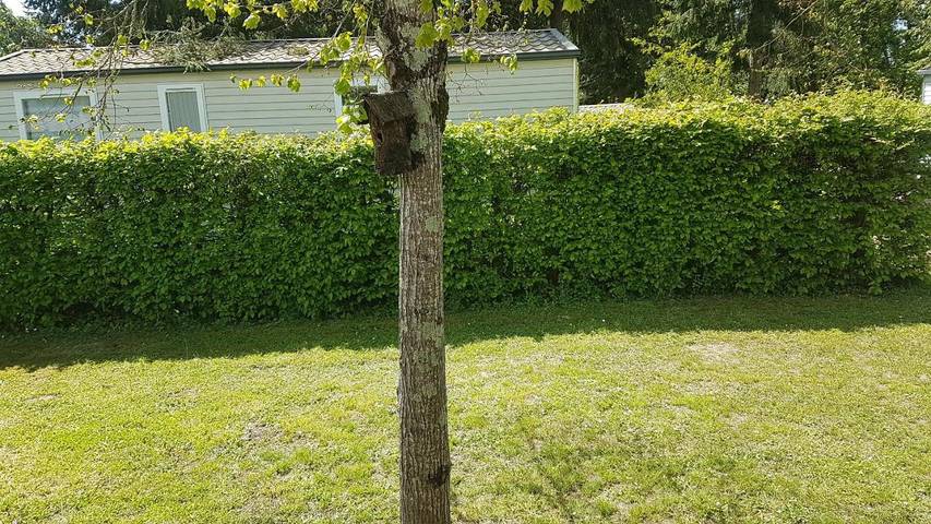 Location de vacances pour 6 personnes, avec piscine et jardin à Trogues - 4