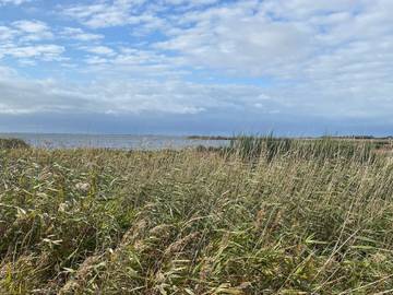 Vakantiehuis voor 4 Personen in Skjern, Noordzee Denemarken, Afbeelding 1