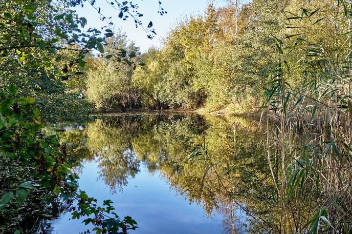 Ferienhaus für 6 Personen, mit Seeblick und Garten an der Nordsee - 2