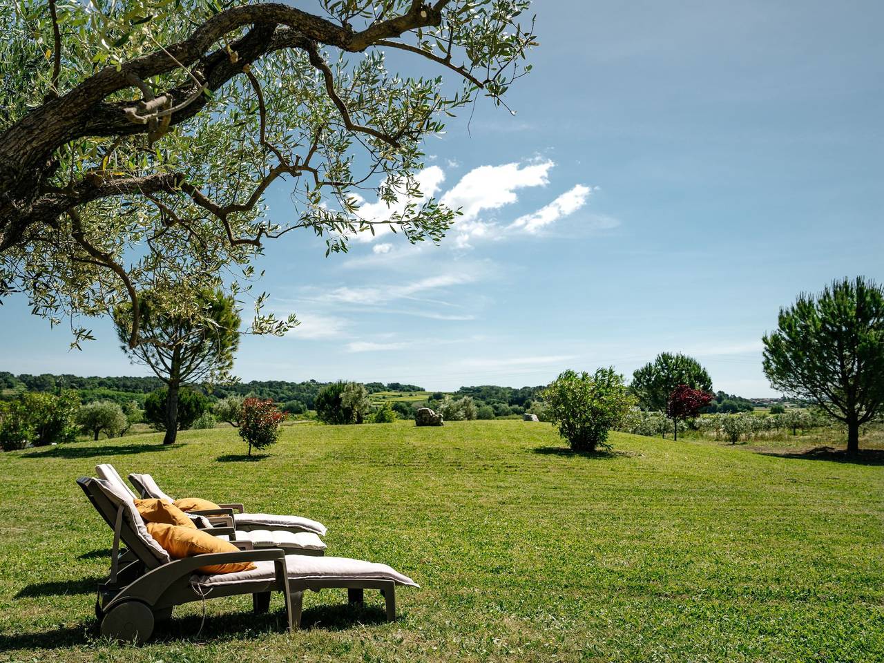 Flucht in die Domäne Givaudan in Cavillargues, Région de Nîmes