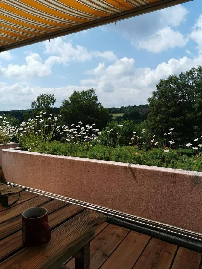 Ganze Wohnung, Ferienwohnung im Naturpark Solling Vogler in Silberborn, Holzminden