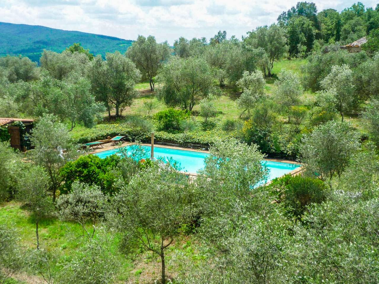 Ganze Wohnung, Apartment 'Casa Verde A Murlo' mit Gemeinschaftspool, Wlan und Klimaanlage in Murlo, Chianti