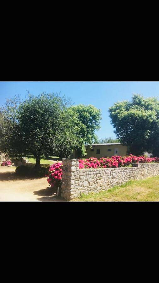 Gîte pour 2 personnes, avec terrasse et jardin, animaux acceptés à Quemper-Guézennec - 4