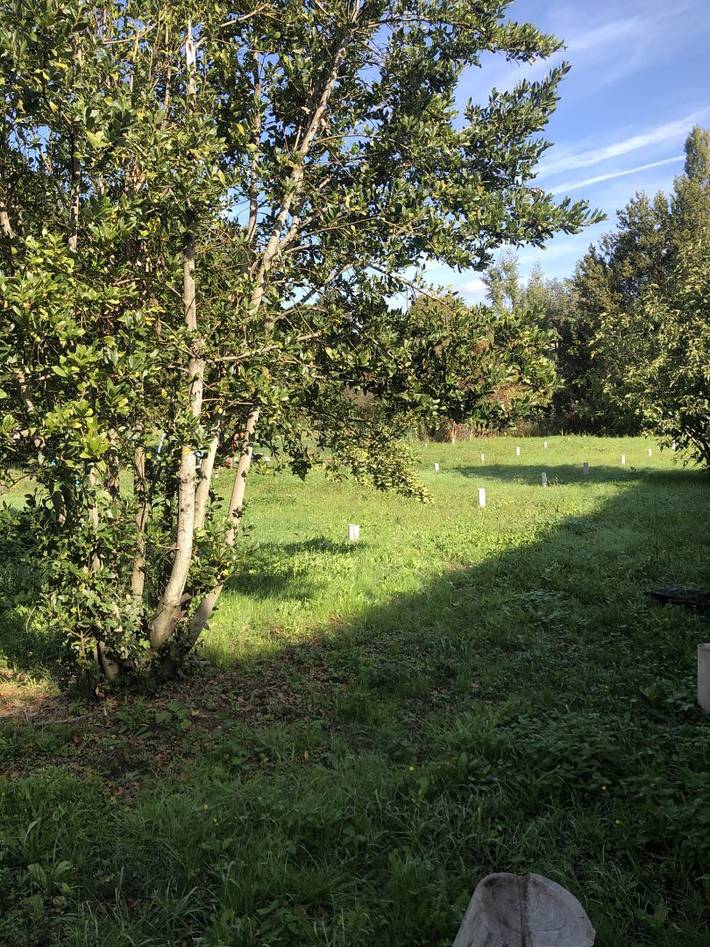 Gîte pour 4 personnes, avec jardin, animaux acceptés à Mirabel-aux-Baronnies - 4
