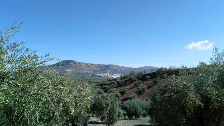 Casa rural para 16 personas, con Balcón y Terraza además de Jardín y Piscina en Fuente-Tójar - 4