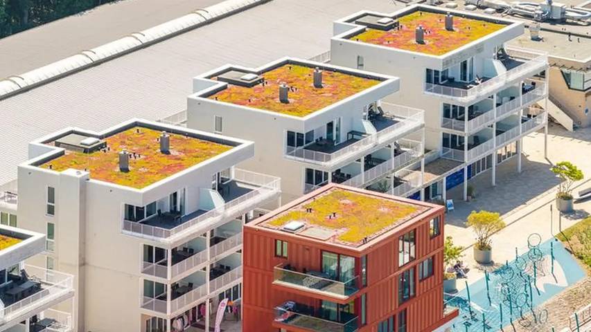 Ferienwohnung für 4 Personen, mit Balkon und Terrasse sowie Whirlpool und Sauna in Priwall - 4