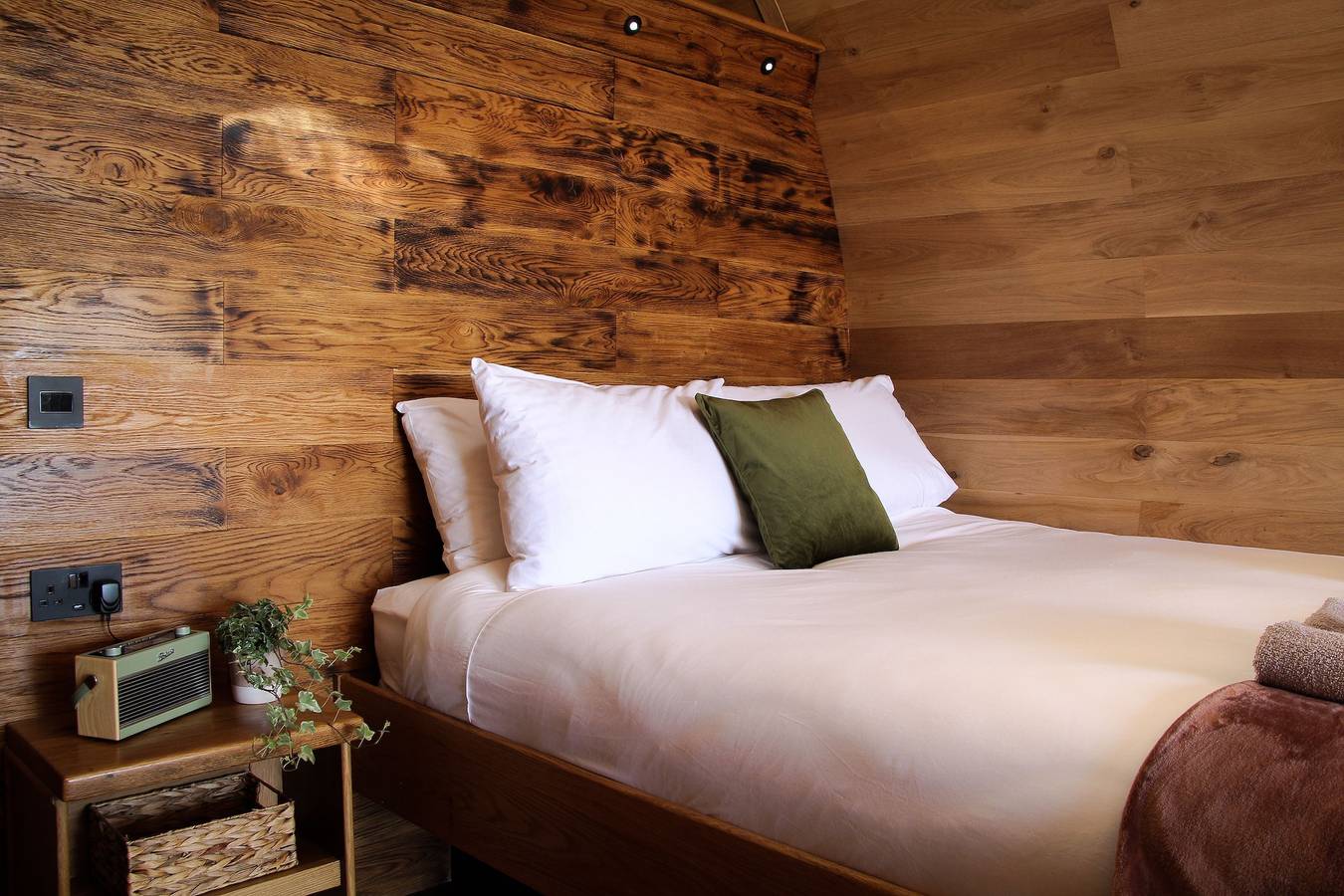 Burrow View  in Powys