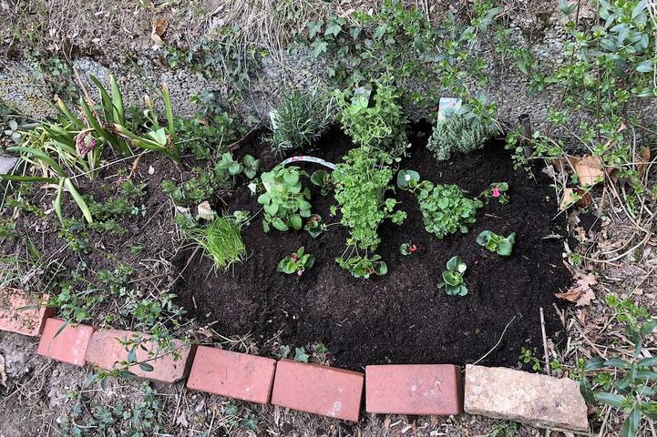Ferienhaus für 4 Personen, mit Garten in Heilbronn - 2