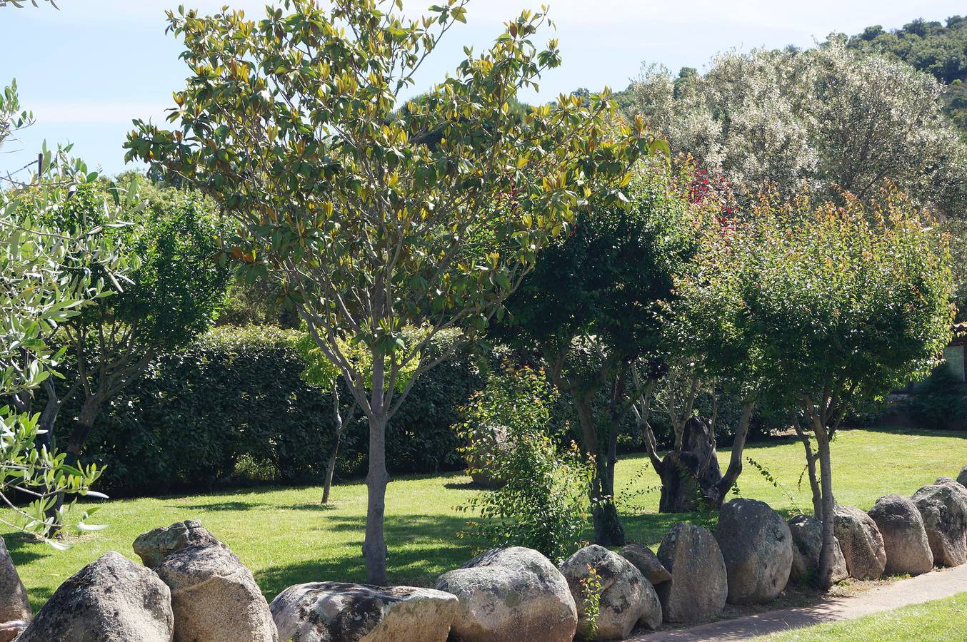 Les Jardins De Santa Giulia - Charmante chambre d'hôte in Porto-Vecchio, Arrondissement de Sartène