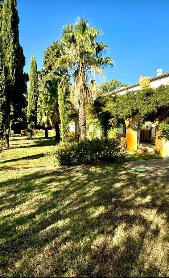 Cortijo Negretti in Herrera de Alcántara, Cáceres und Umgebung