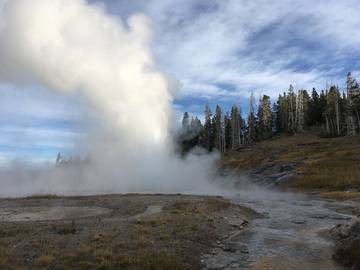 Log Cabin for 8 People in Yellowstone, Custer Gallatin National Forest, Photo 2